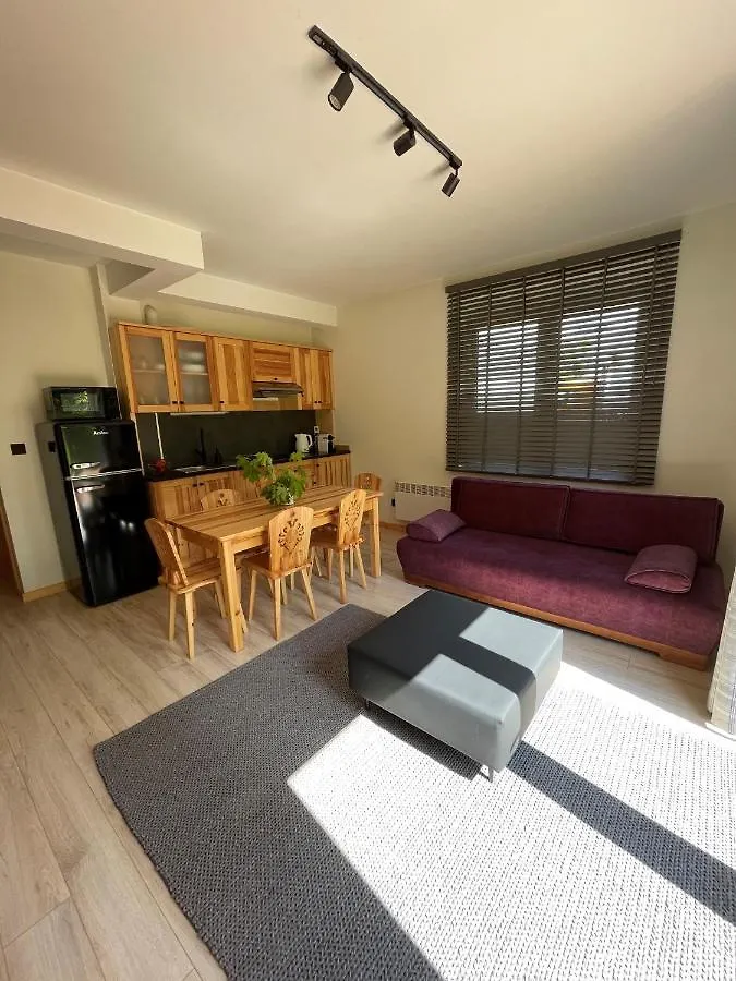 Apartament Zakopane Willa Hrube Parter Z Tarasem I Kominkiem Apartment