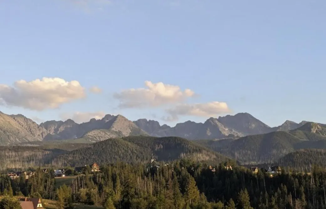 Apartment Apartament Zakopane Willa Hrube Parter Z Tarasem I Kominkiem Poland